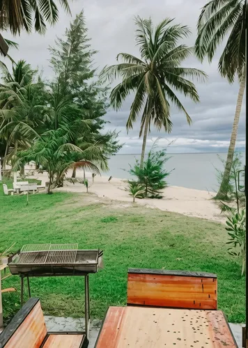 รูปภาพของมาลัยเอเชีย รีสอร์ท