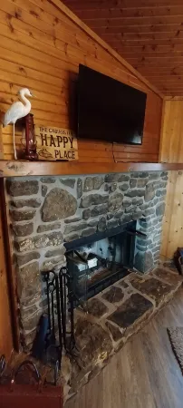 Riverfront Blue Heron Cabin on the Kings River Отели в г. Carroll County