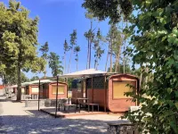 Kemp stribrny rybnik