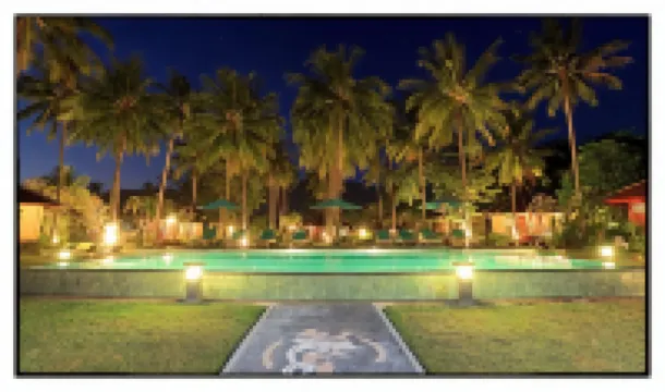 マスコット ビーチ ホテル