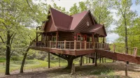 Hilton Grand Vacations Club Branson Cedars Ridgedale