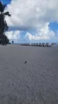 Olas Del Caribe