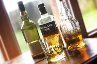 Dalhousie Castle Hotel - bar