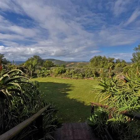 Addo Elephant Safari Lodge - Bellevue Forest Reserve
