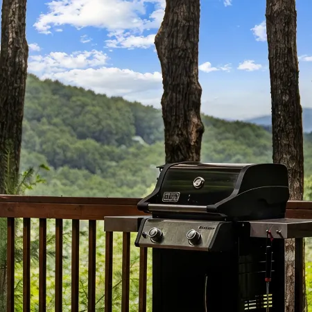 Mountain Views! Private Cabin, Firepit & Hot Tub, Fireplace--Dog Friendly!