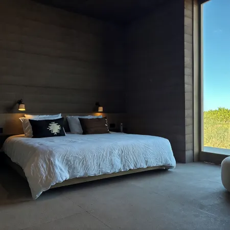 Pacifico Norte Vipp Guesthouse Todos Santos Отели в г. Тодос-Сантос