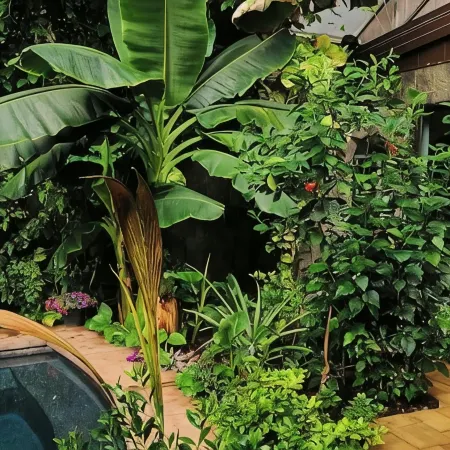 Tropical Secret Garden with heated pool