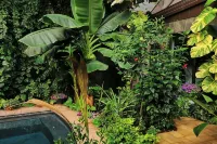 Tropical Secret Garden with heated pool