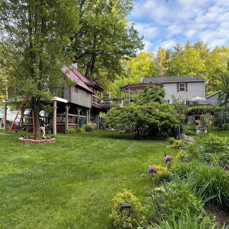 Tree house  lots birds  great location . ..... lots to do all summer long ......