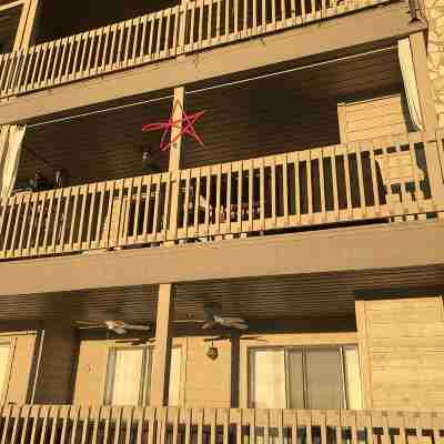 Adorable waterfront condo, private docks, and bring the dog! Hotel Exterior