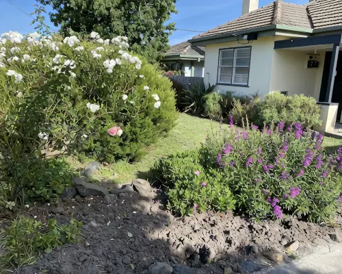 Daisy Cottage on Duke Hotels in Yarram