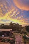 Tranquil Studio Retreat in Leura with Private Bush Outlook. - Wifi