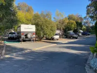 Albury Gardens Tourist Park - Parking