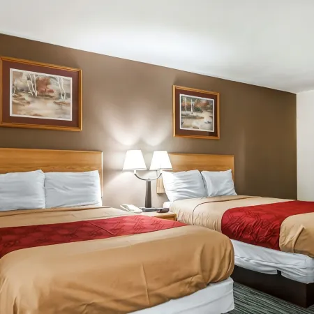 Econo Lodge Inn and Suites - Jackson