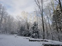 Pet friendly, hot tub, cabin - Chalets