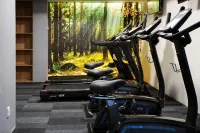 Hotel Beskid Balneo Medical Resort & Spa - Kuntosalit