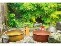 Nikko Toshogu Koyoen - Hot Tub