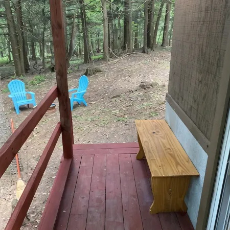 Cute cabin in the woods