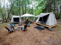 Campers Paradise, cozy tents, hot tub, free EV charger. Pet friendly