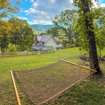1885 Farmhouse Luxuriously Renovated: Antiques & Animals