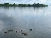 Lakefront Living Downtown Orillia.