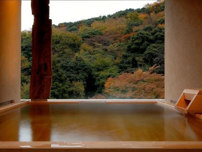Hakone Suimeisou