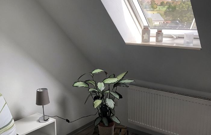 Cozy apartment 2 in the DG in the Sonnenhof