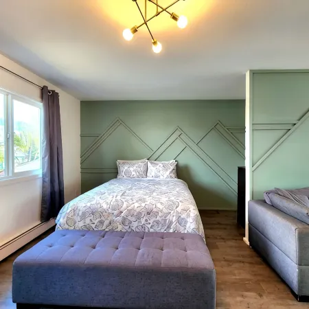 Denali Luxe Studio by airports, lakes, hiking, skiing. Newly remodeled.