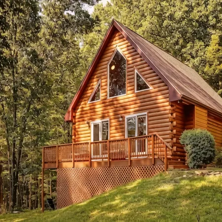 Pet Friendly with Mountain Views on 151 BrewRidge Trl Near Wineries~Hikes~Skiing