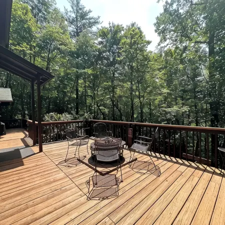 Backwoods Waterfall Bliss