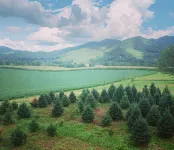 A hand-crafted cabin built in the middle of a Christmas Tree farm. - Chalets