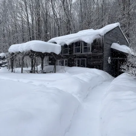 Dream Cabin in charming Hyde Park with WiFi access