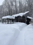 夢幻迷人的海德公園村小屋，提供WiFi - 木屋
