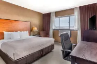 Quality Inn Toronto Airport - bar