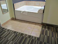 Microtel Inn & Suites by Wyndham Inver Grove Heights/Minne Hotel di South Saint Paul