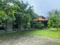 Negombo 146 Homestay - Bãi biển