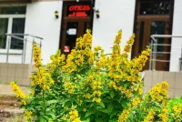 Hotel Abri Hotels in 