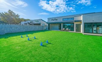 Taean Dog Day Pet Pool Villa