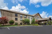 Comfort Inn & Suites فنادق في Blue Ridge