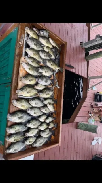 Great Place for a Fishing Excursion or a Tranquil, Relaxing Getaway!