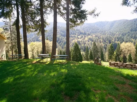 Dunsmuir Lodge Отели в г. Дансмьюир