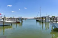 WOC PETS OK! Walk to Harborside, Bayhopper water taxi! Nature Lovers Delight! Hotel a West Ocean City