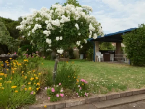 Orana Windmill Motel Hotels in Gilgandra