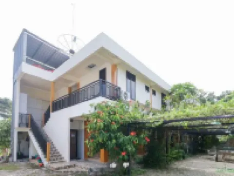 Matoh Guesthouse Syariah Hotels in Bojonegoro Regency