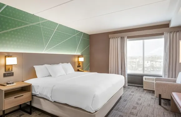 沃特敦舒適套房酒店-千島