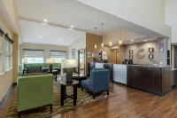 Comfort Suites DFW Airport