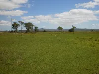 Country View Motel Ilbilbie - Motel