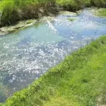 Hotel Im Wiesengrund Hotels in Bergen