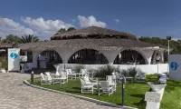 Sentido Phenicia