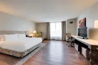 힐튼 가든 인 노스 휴스턴 스프링